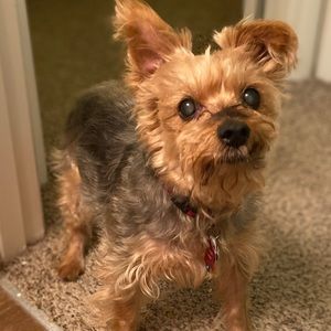 Meet your Posher, Kimberly